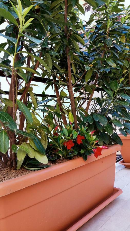 B&B Malaga Salerno Dış mekan fotoğraf